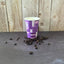 Vending Cup